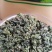 金秀大瑶山土特产绞股蓝茶