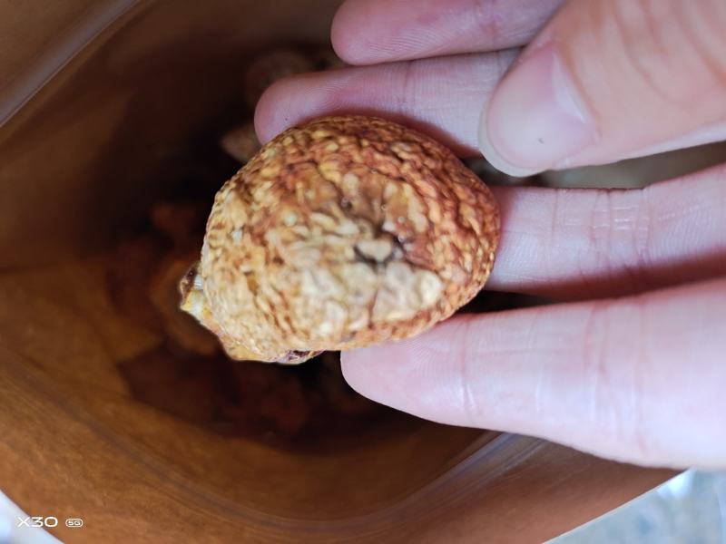 广西金秀大瑶山土特产，姬松茸新鲜干品500克