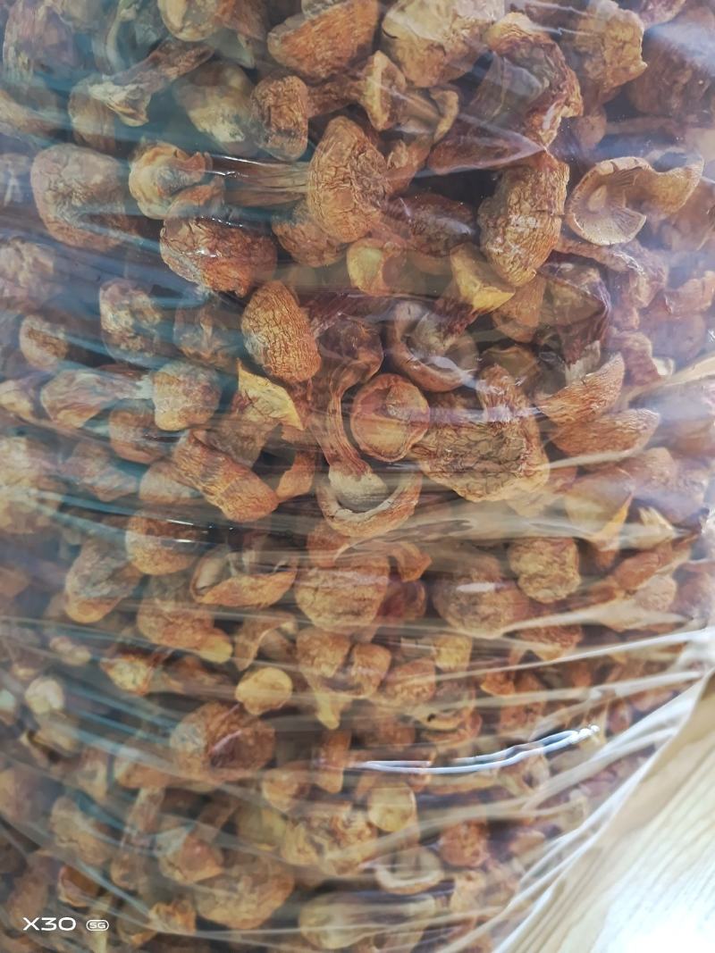 广西金秀大瑶山土特产，姬松茸新鲜干品500克