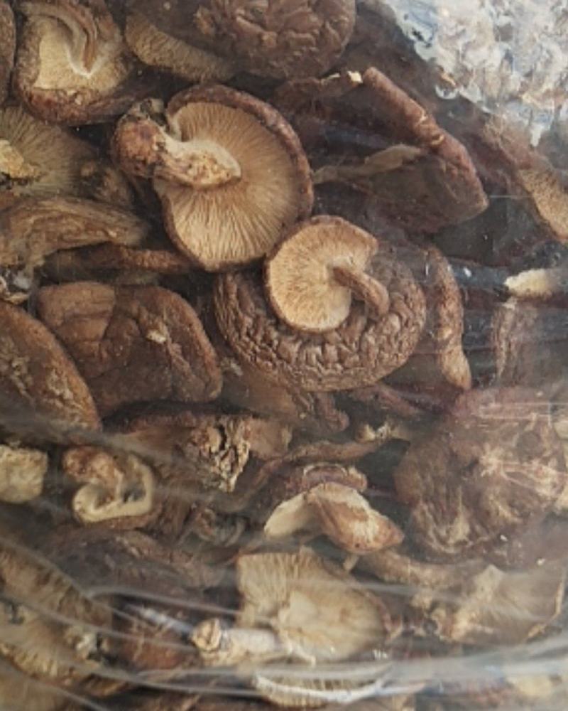 广西金秀大瑶山土特产，香菇，薄菇500克