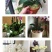 四季蝴蝶兰盆栽带花苞剑观花植物盆栽四季绿植室内植物花卉盆