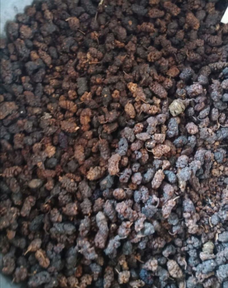 桑葚可食用药用各种规格桑葚干批发零售各种规格中药材桑椹