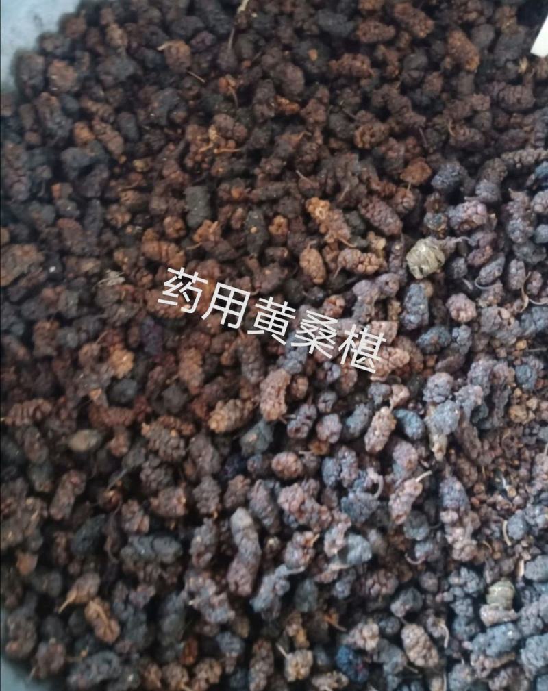桑葚可食用药用各种规格桑葚干批发零售各种规格中药材桑椹