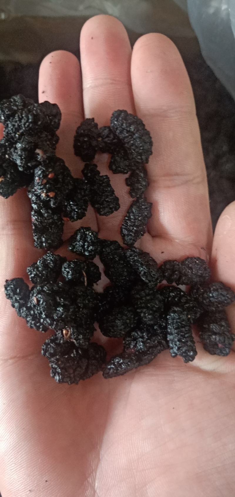 桑葚可食用药用各种规格桑葚干批发零售各种规格中药材桑椹