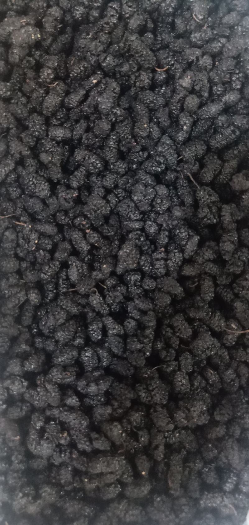 桑葚可食用药用各种规格桑葚干批发零售各种规格中药材桑椹