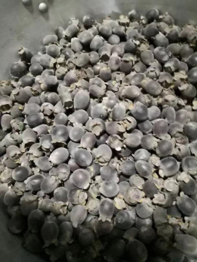 桃金娘果开始少量上市了