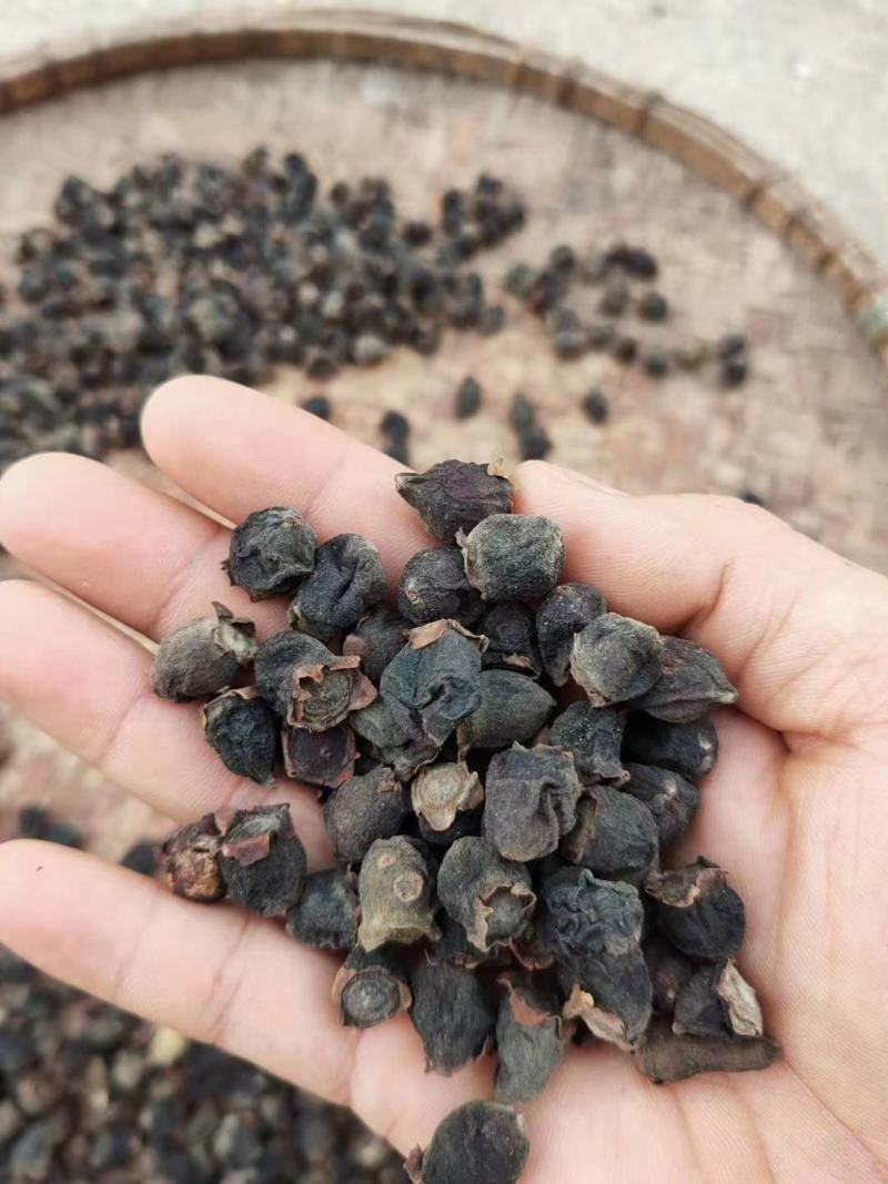 桃金娘果开始少量上市了