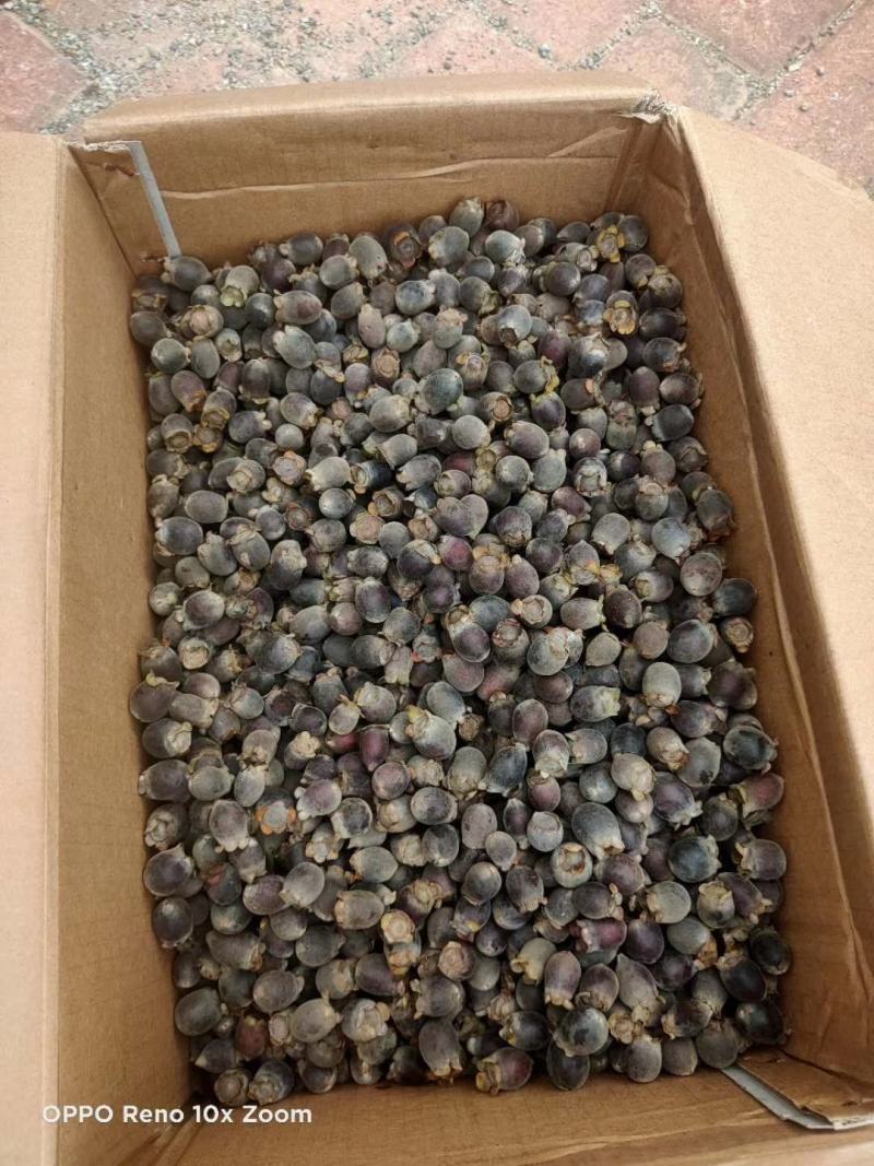 桃金娘果开始少量上市了