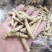 2~3克西洋参粒全新包邮