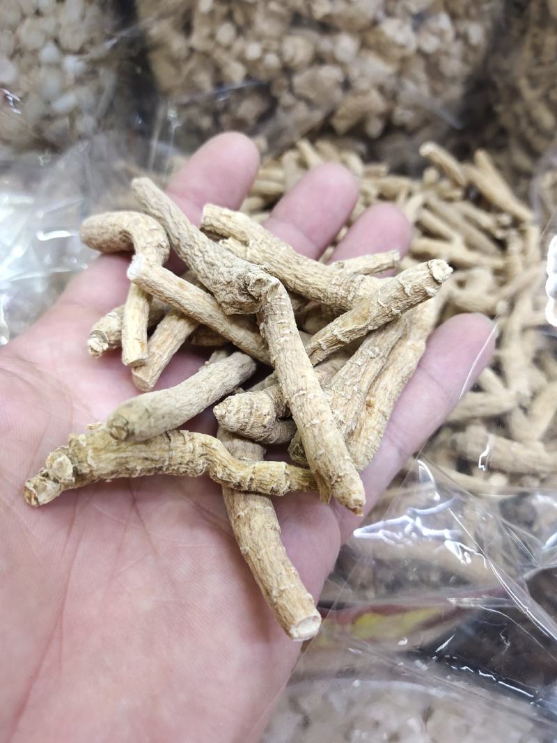 2~3克西洋参粒全新包邮