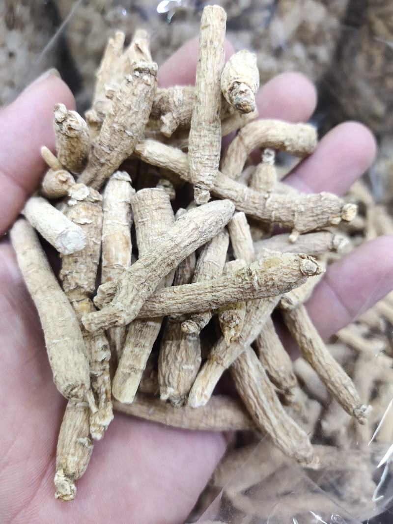 2~3克西洋参粒全新包邮