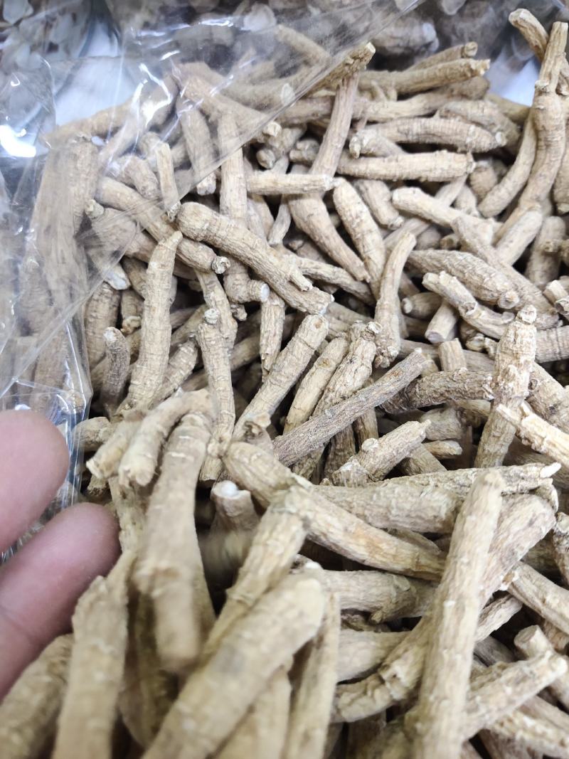 2~3克西洋参粒全新包邮
