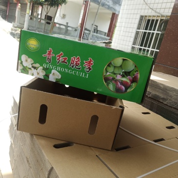 古蔺三道水脆红李产地直销，包邮十斤装坏果烂果包赔