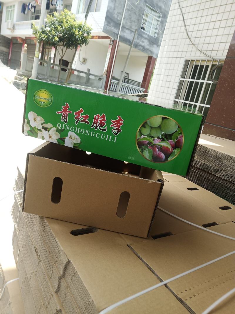 古蔺三道水脆红李产地直销，包邮十斤装坏果烂果包赔