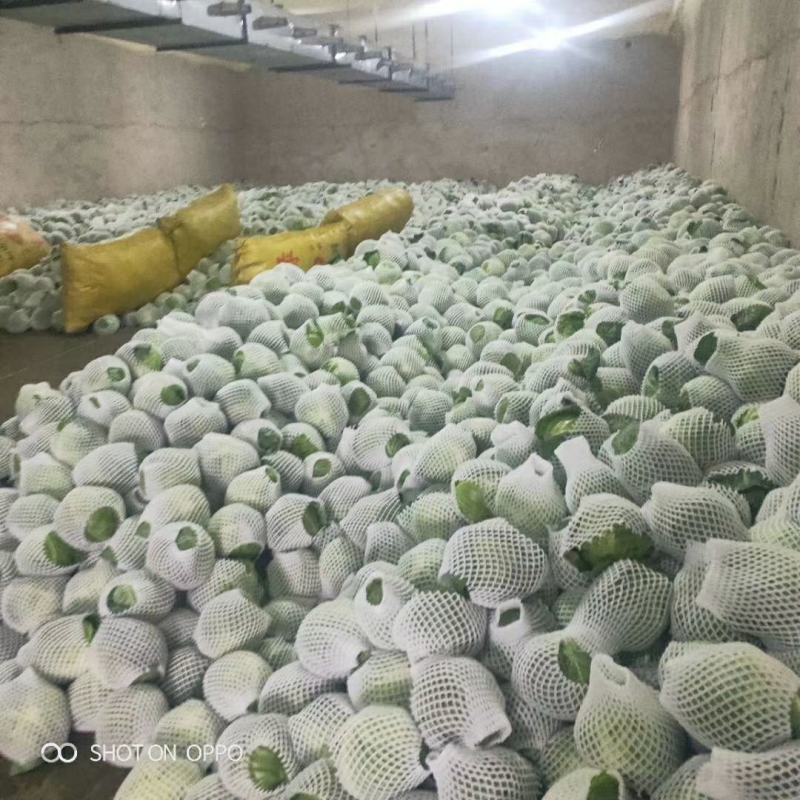 精品蔬菜实力代办团队