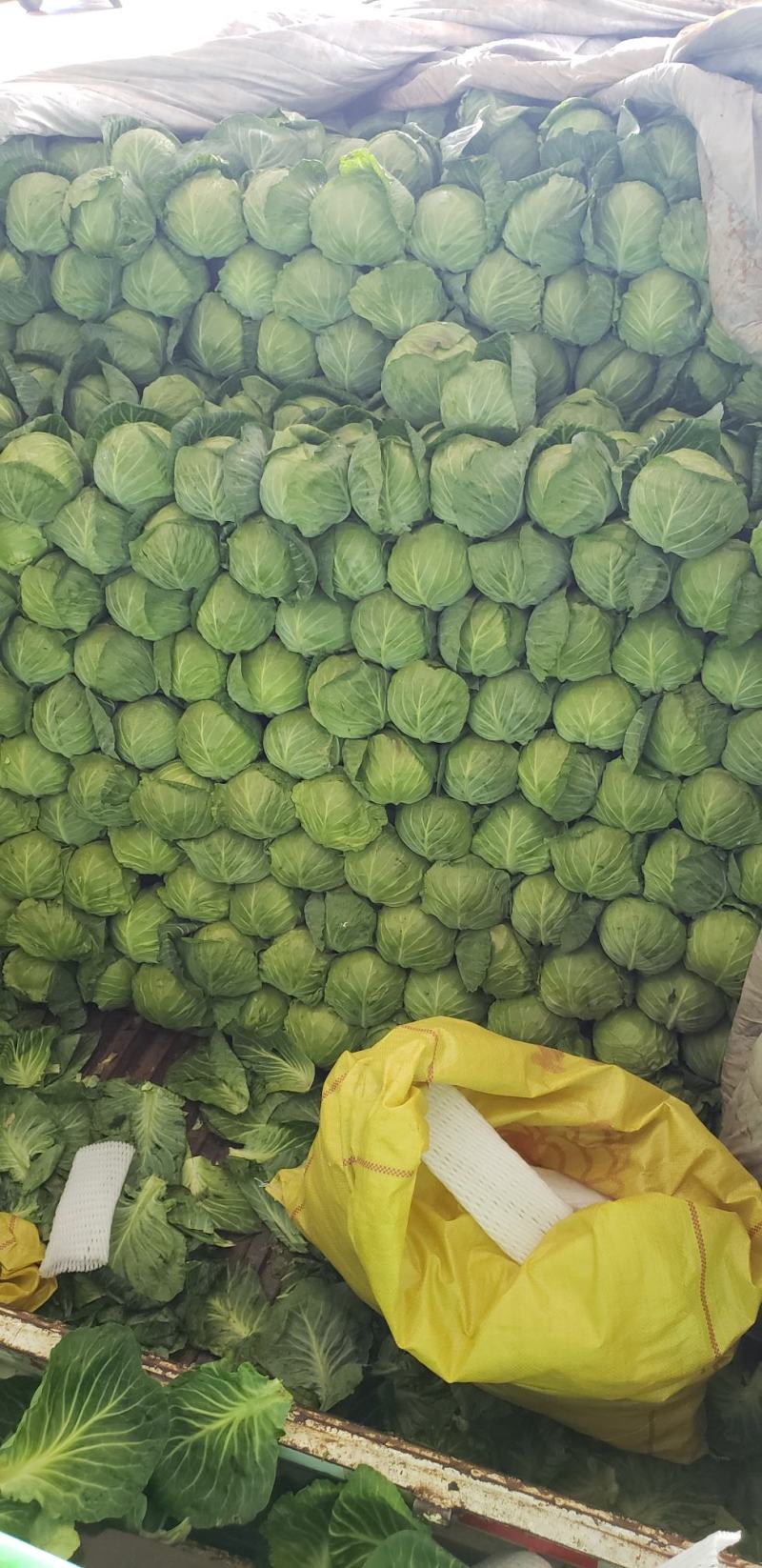 精品蔬菜实力代办团队