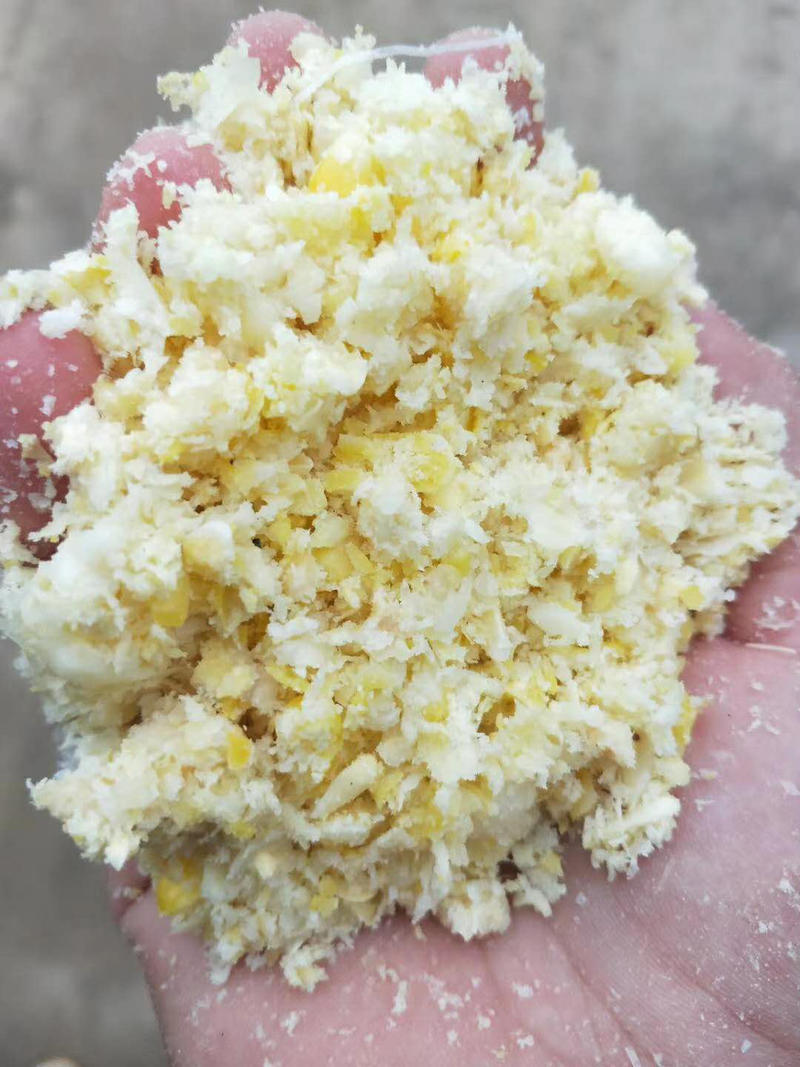 粉碎熟玉米【碎玉米净粮】晒选碎玉米，用于各种养殖饲料厂