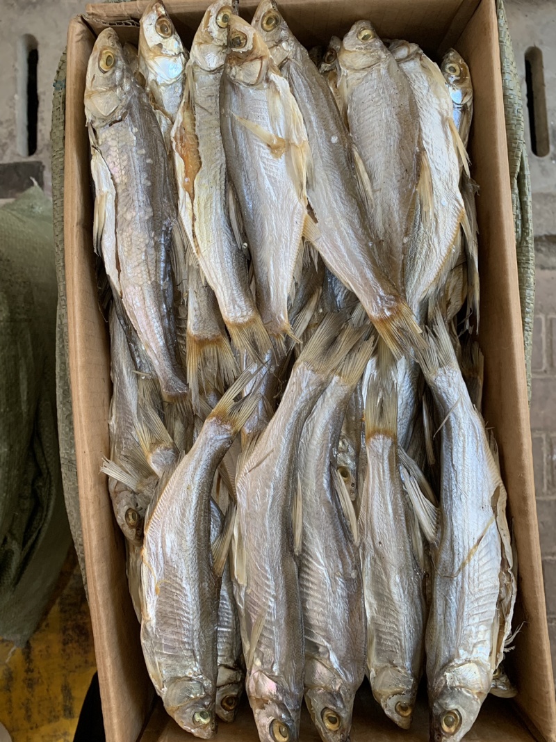 刁子鱼翘嘴鱼白条干度好