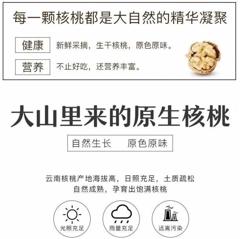 农伯惠云商直供展销会赶大火爆模式云南新鲜核桃薄壳干核桃