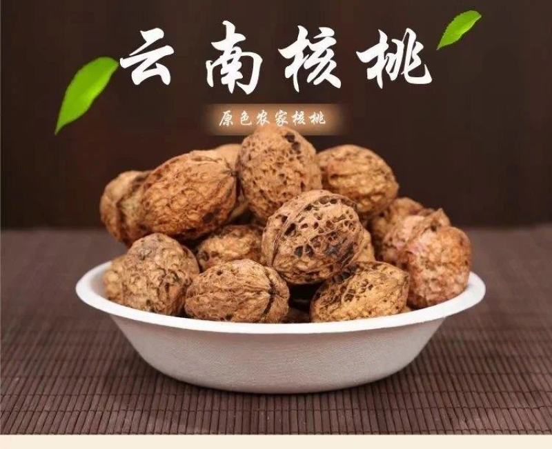 农伯惠云商直供展销会赶大火爆模式云南新鲜核桃薄壳干核桃