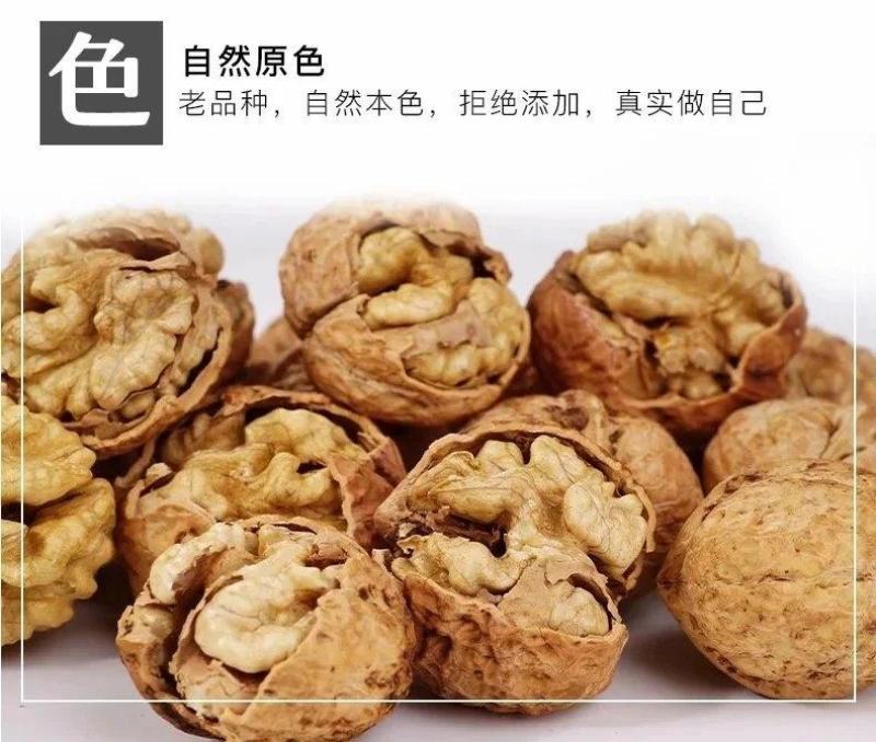农伯惠云商直供展销会赶大火爆模式云南新鲜核桃薄壳干核桃
