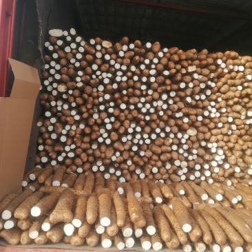 白玉山药，产地直供地头价啊啊啊全国发货质量保证