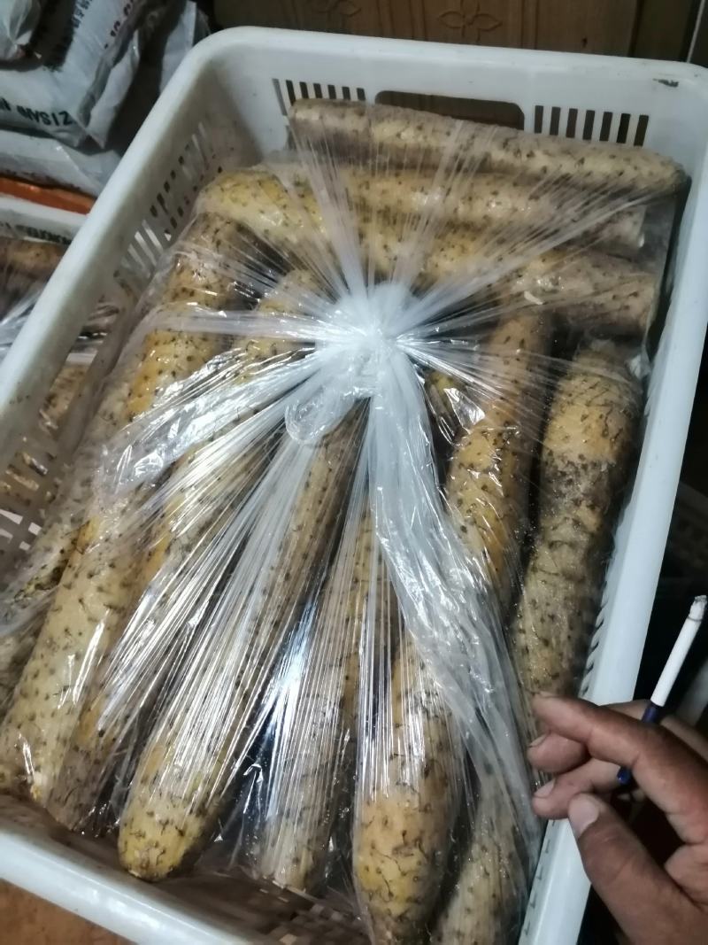 白玉山药，产地直供地头价啊啊啊全国发货质量保证