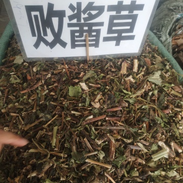 败酱草～新货～包含量～量大优惠～欢迎咨询采购