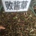 败酱草～新货～包含量～量大优惠～欢迎咨询采购