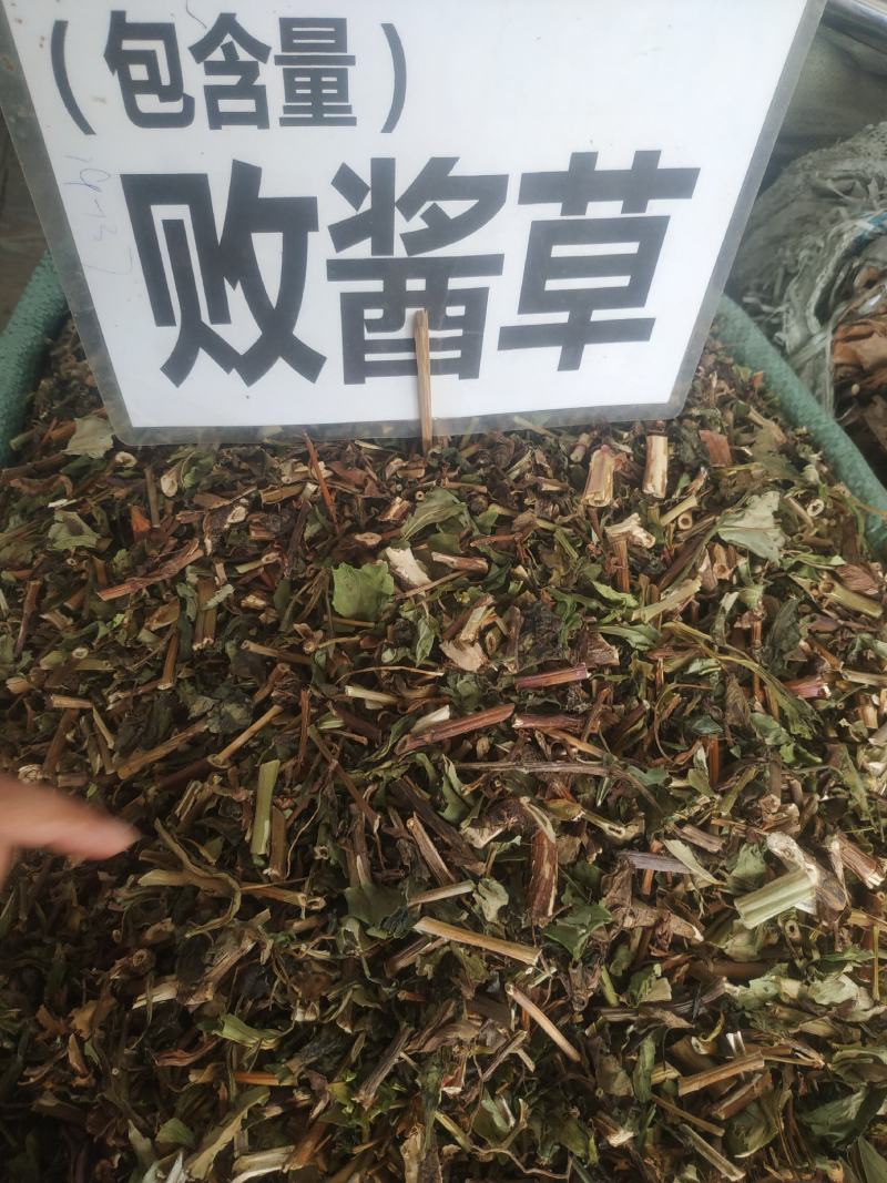 败酱草～新货～包含量～量大优惠～欢迎咨询采购