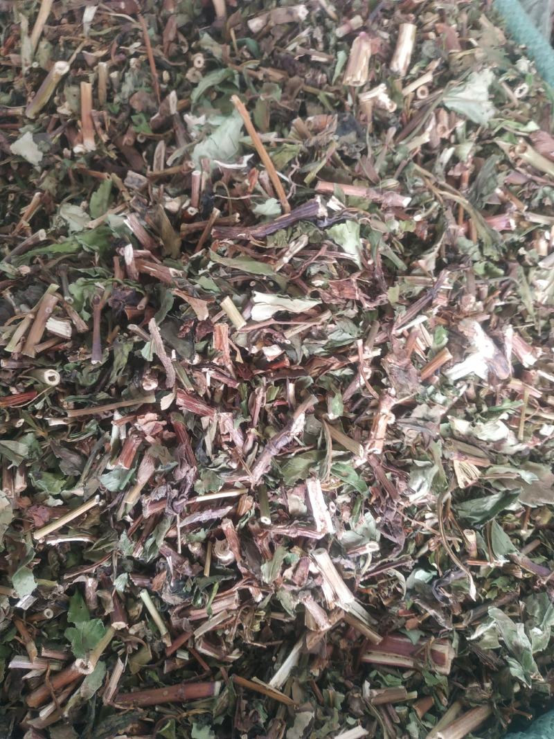 败酱草～新货～包含量～量大优惠～欢迎咨询采购