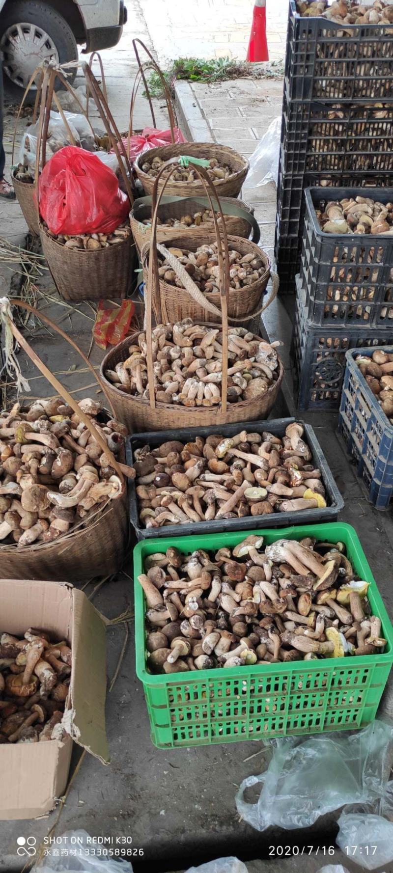 云南美味白牛干野生菌5斤起包邮全国到货偏远地区除外