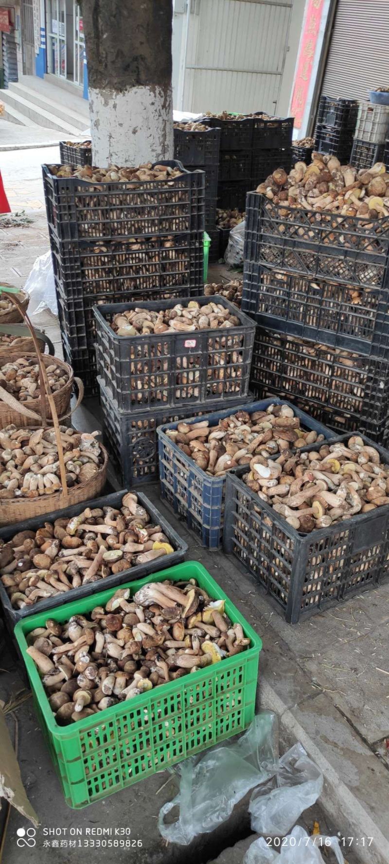云南美味白牛干野生菌5斤起包邮全国到货偏远地区除外