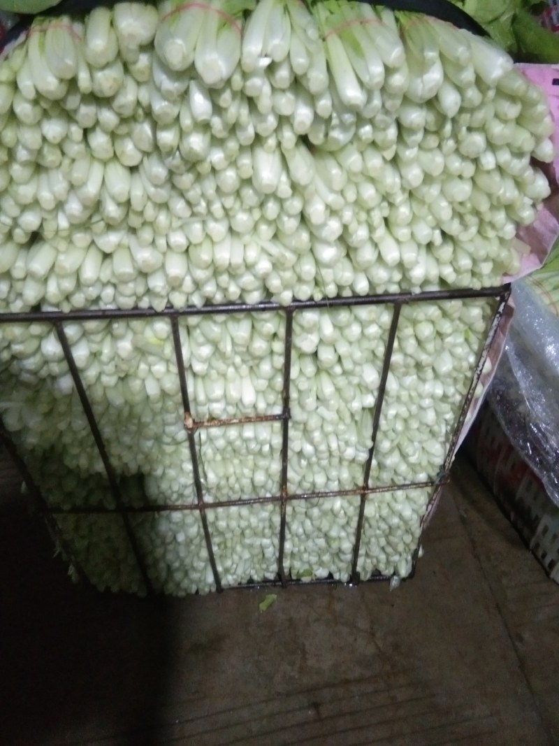 本地小把快菜，，，，，