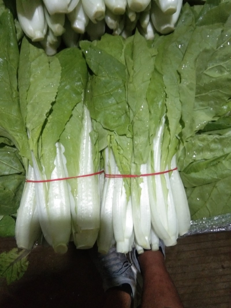 本地小把快菜，，，，，