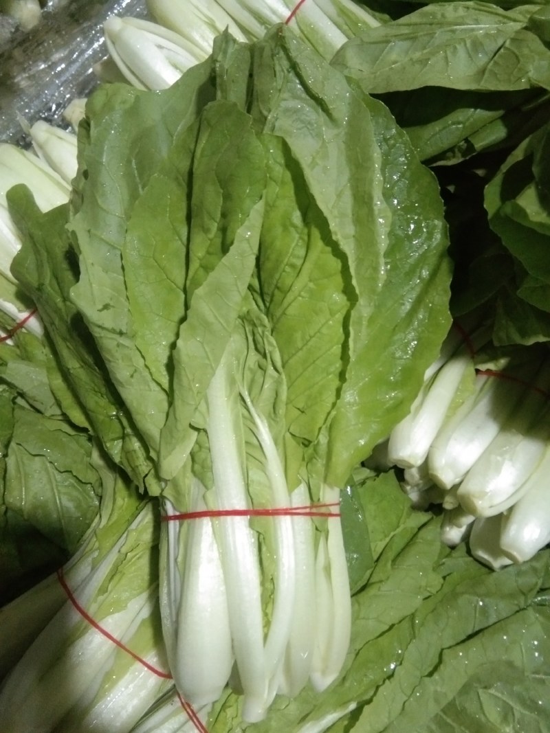 本地小把快菜，，，，，