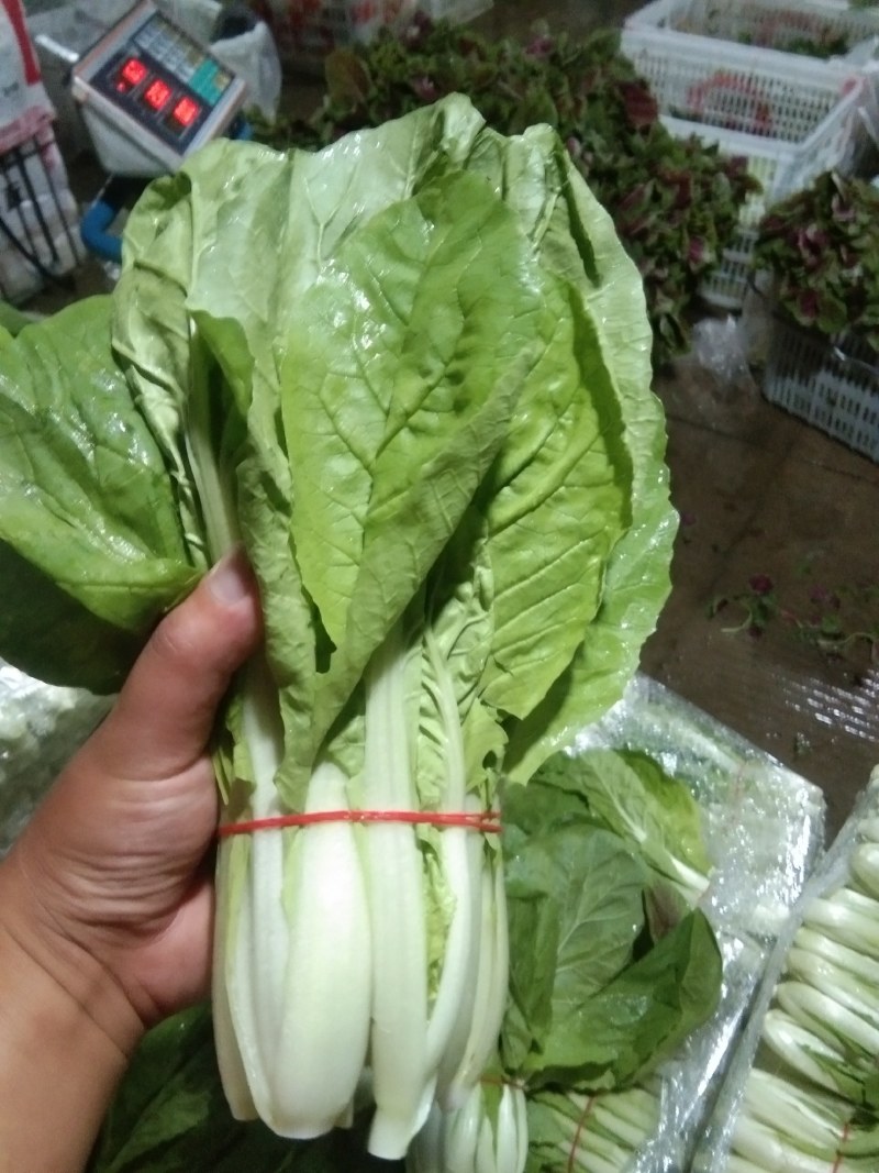 本地小把快菜，，，，，