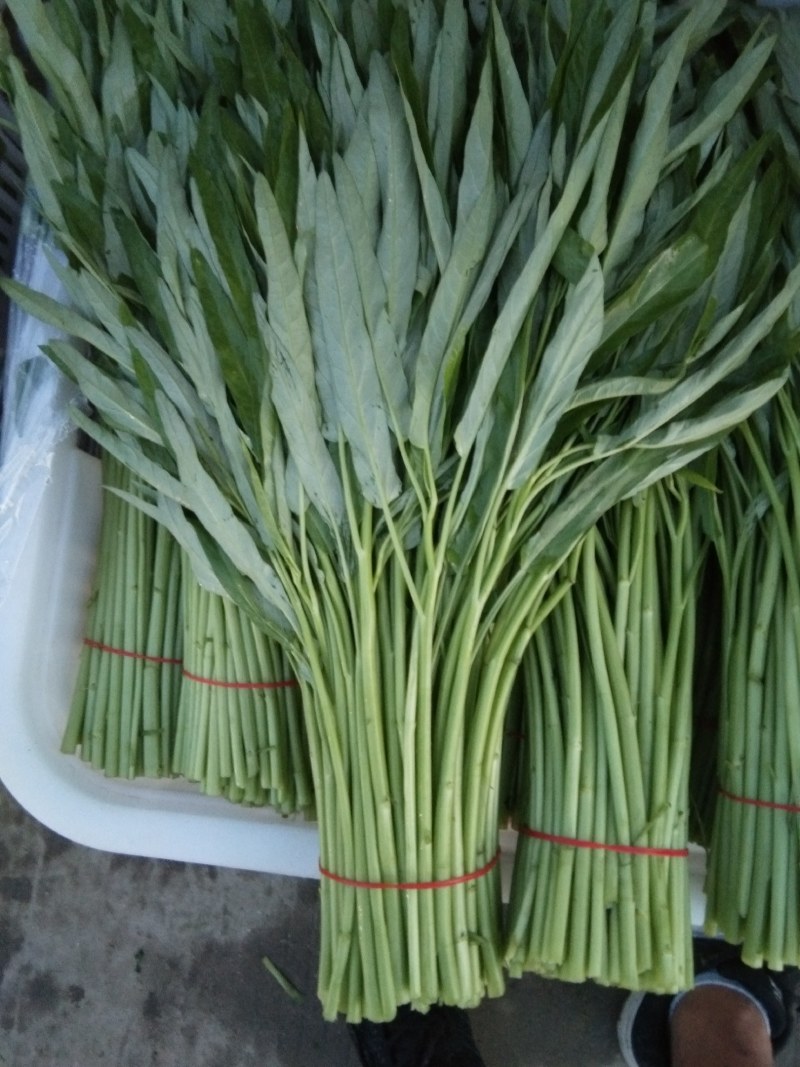 小把空心菜，，，，，