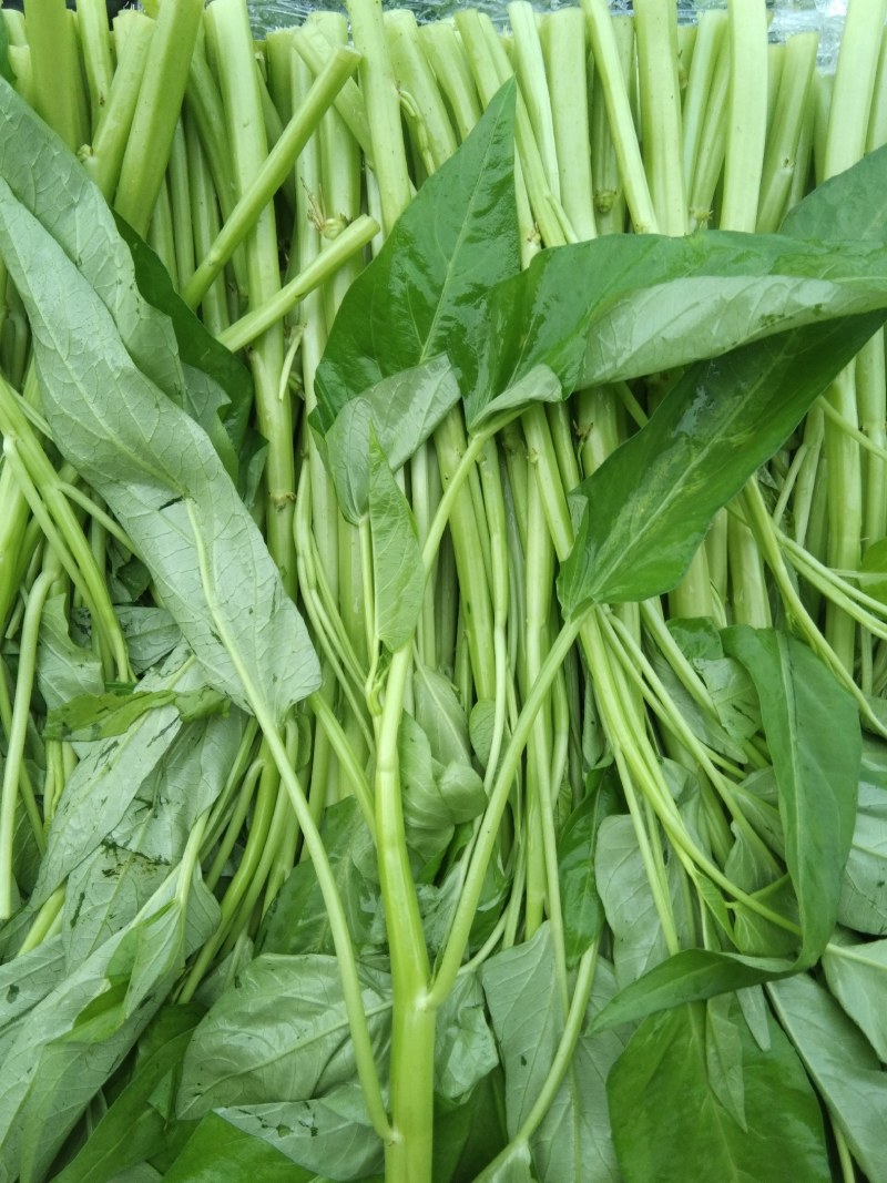 小把空心菜，，，，，