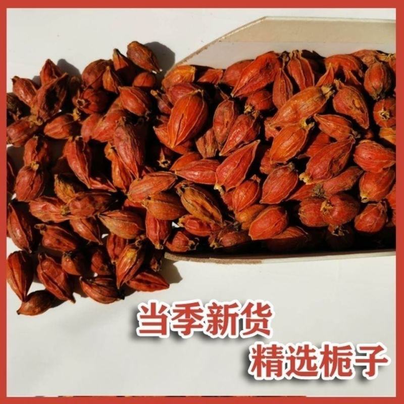 栀子栀子茶野生栀子无硫磺中药材天然栀子包邮