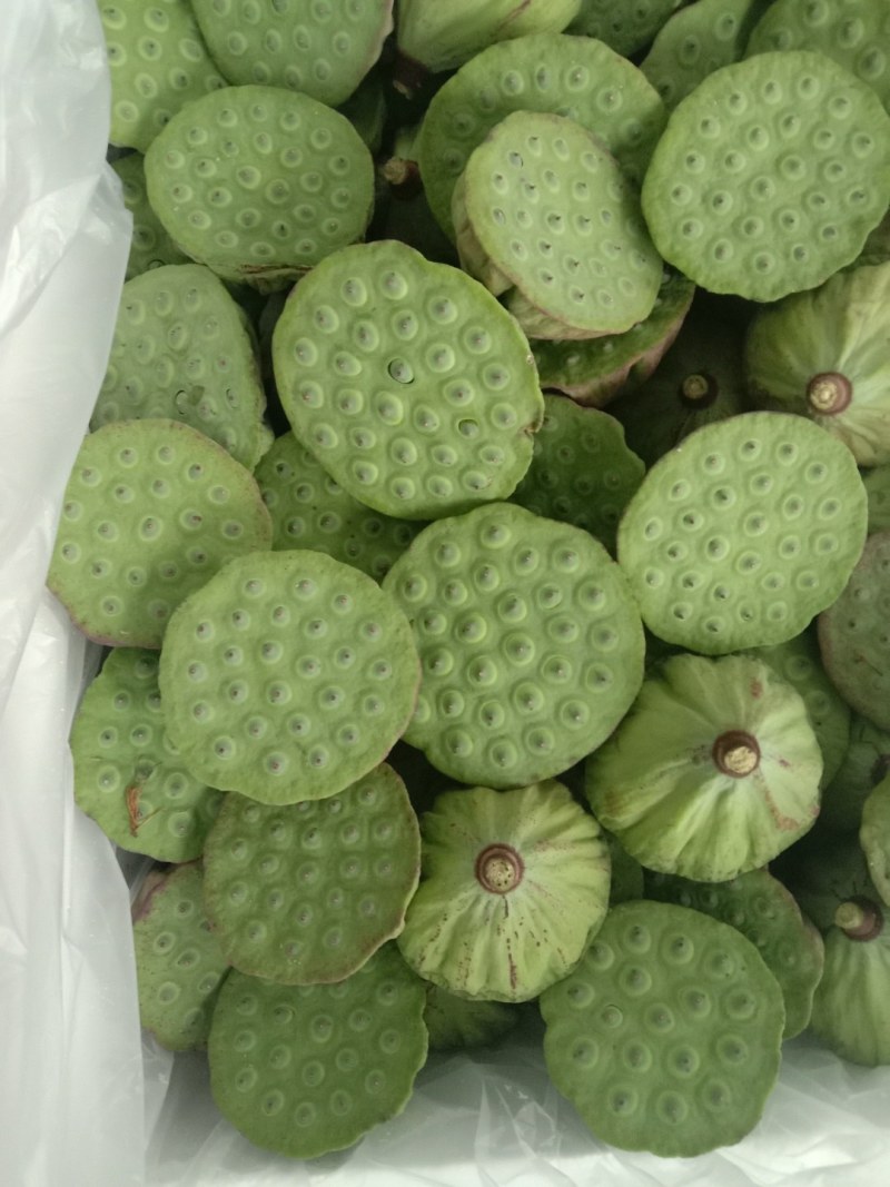 莲蓬，A级精品水果莲蓬
