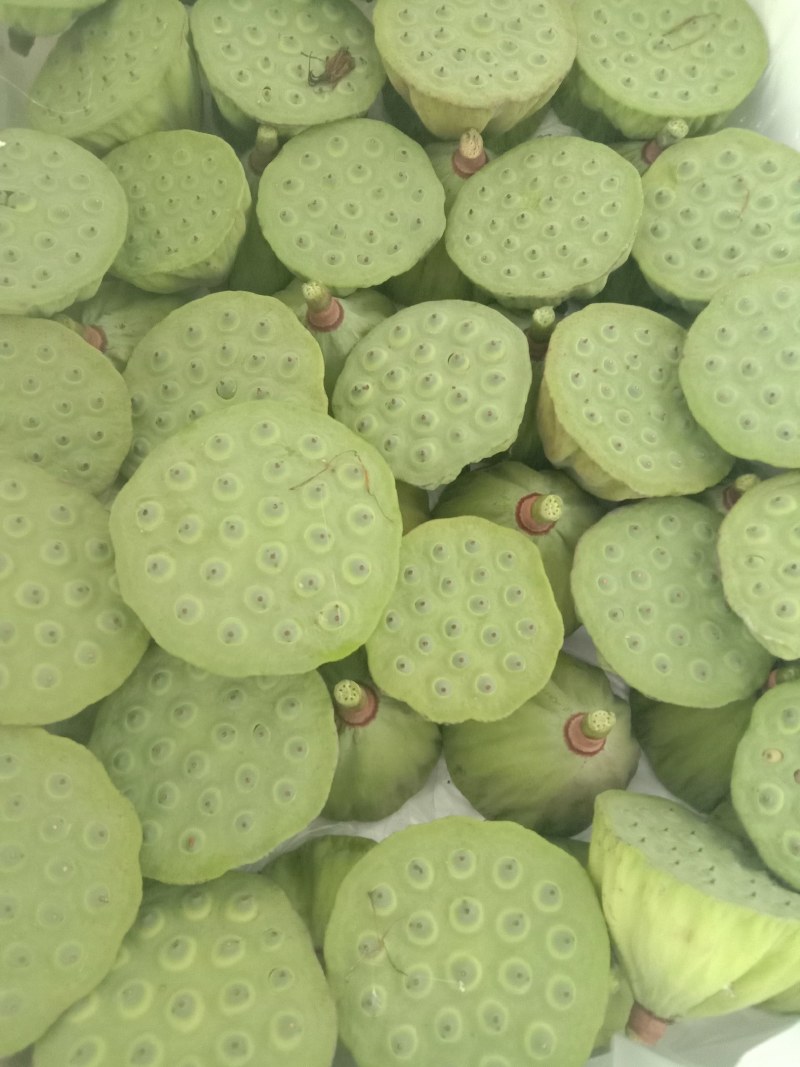 莲蓬，A级精品水果莲蓬