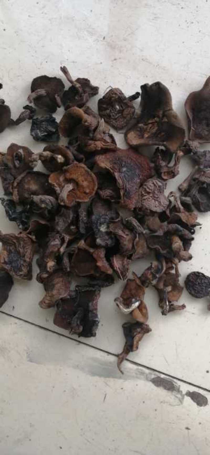优质手挑自然干松蘑肉厚形好量大从优有需要联系