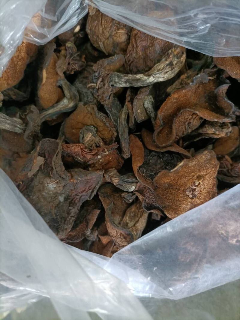 优质手挑自然干松蘑肉厚形好量大从优有需要联系