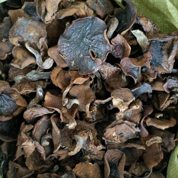 优质手挑自然干松蘑肉厚形好量大从优有需要联系
