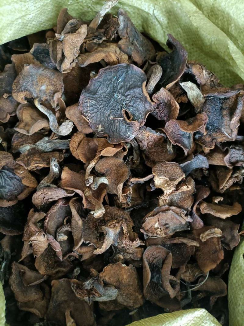 优质手挑自然干松蘑肉厚形好量大从优有需要联系