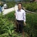 【基地发货】苍溪核桃苗一手货源品种保证规格齐全包成活