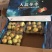 陕西省大荔冬枣包园摇园断园大包支持代收一件代发