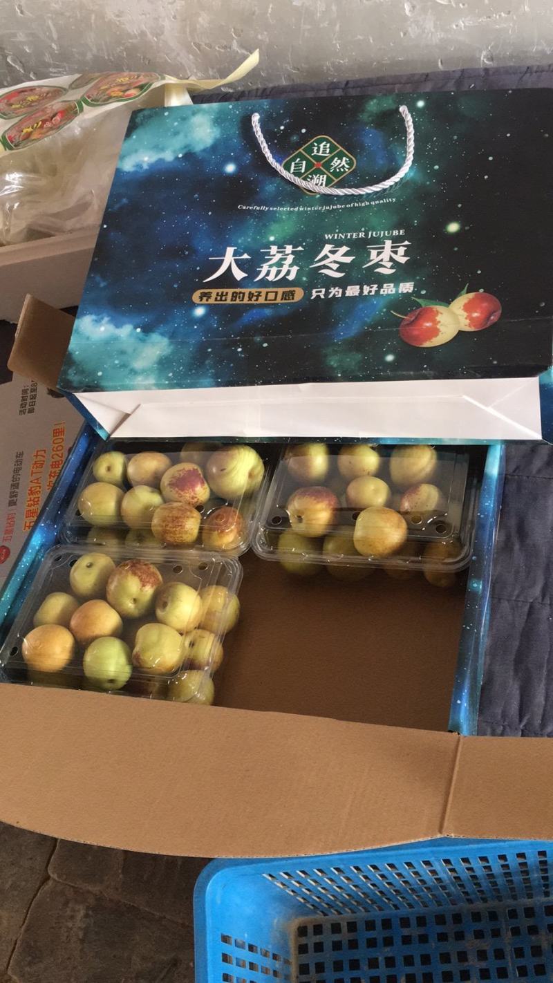 陕西省大荔冬枣包园摇园断园大包支持代收一件代发