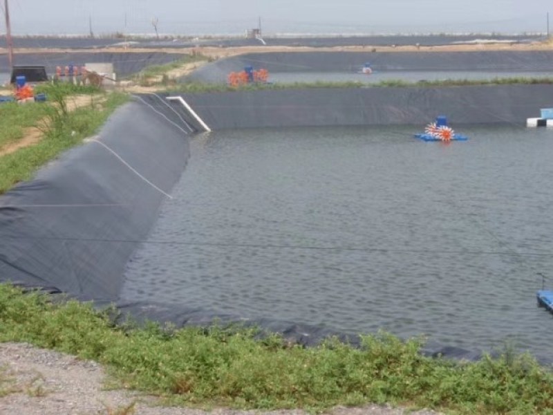 鱼塘专用防渗膜池塘防渗膜藕池防渗土工膜池塘防渗塑料膜